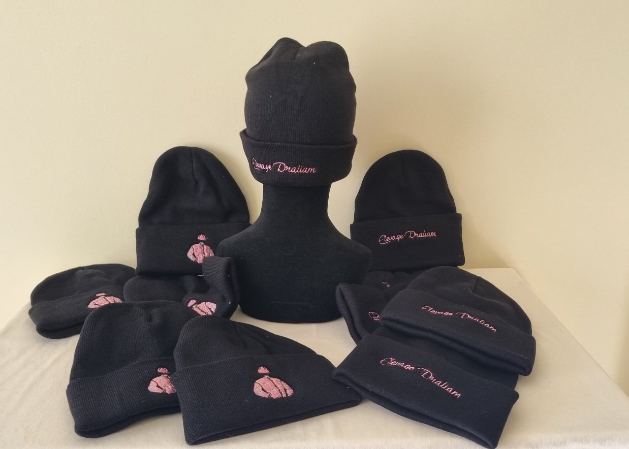 Bonnet D'hiver "Winter Is Coming" - Bonnet En Laine Double épaisseur Brodé, Unisexe, Style Hip-hop Ou GoT