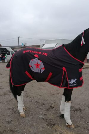 Matériel pour chevaux